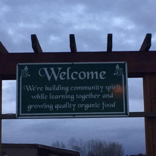 Diggin' In — Why Community Gardens Are a Great Idea for Beginners